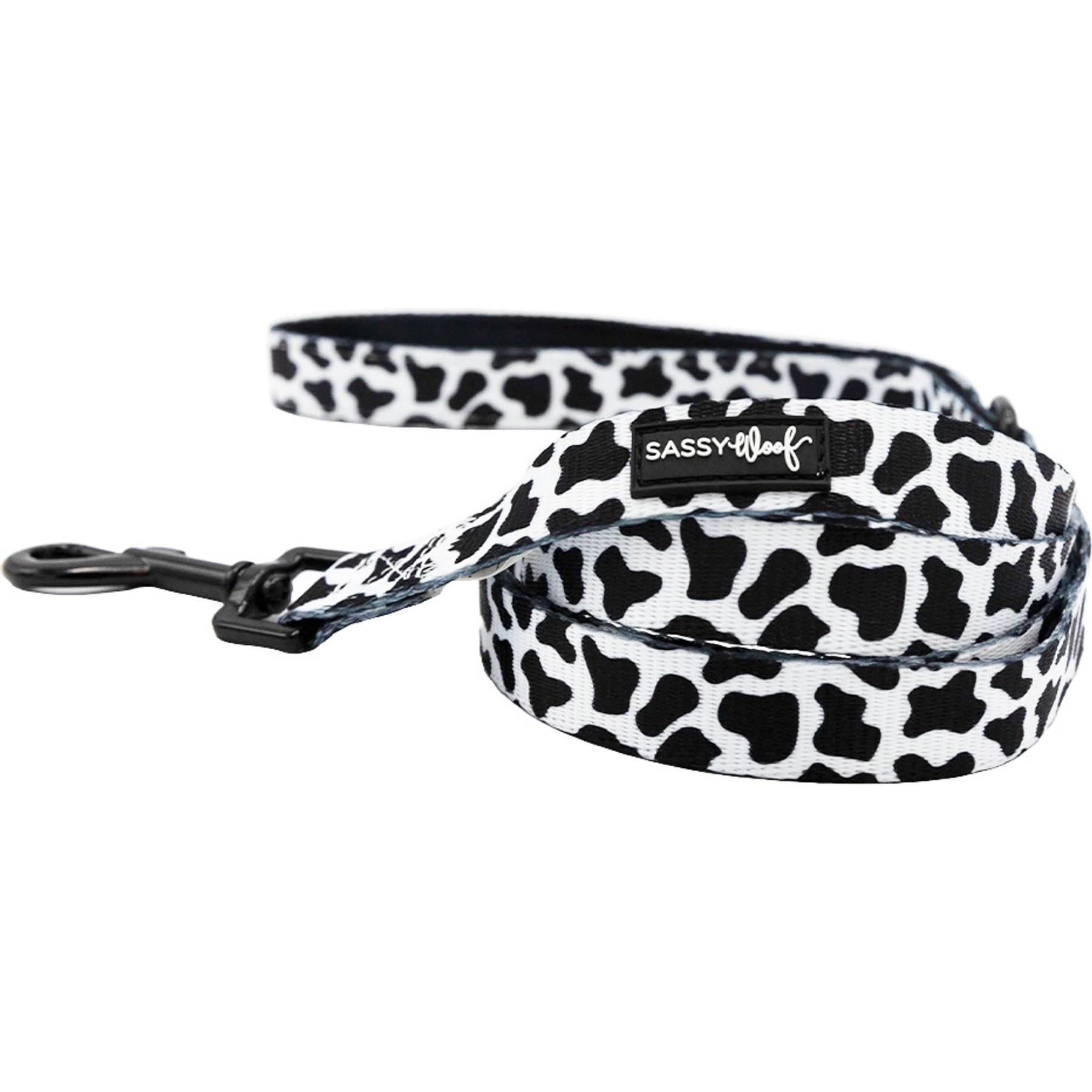 Sassy Woof Whole Milk Dog Leash, 5-ft long, 3/4-in wide