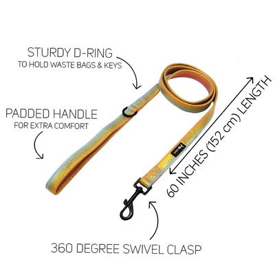 Show full view: Sassy Woof The Night Life Dog Leash, 5-ft long, 3/4-in wide slide 3 of 5