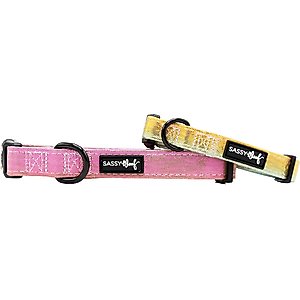 Sassy Woof The Night Life Dog Collar, Small: 13-in neck, 1/2-in wide