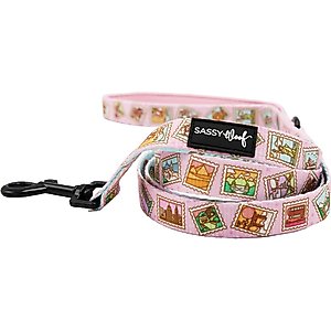 Sassy Woof Out of Office Dog Leash, 5-ft long, 3/4-in wide