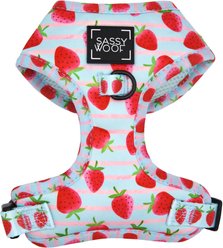 Sassy Woof I Woof You Berry Much Adjustable Dog Harness, Small: 16 to 21-in chest