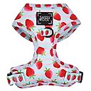 Sassy Woof I Woof You Berry Much Adjustable Dog Harness, Small: 16 to 21-in chest