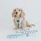 Show in main carousel: Sassy Woof Sweets & Pawfee Dog Leash, 5-ft long, 3/4-in wide slide 5 of 5