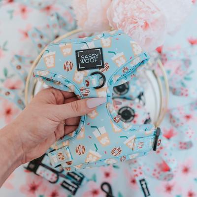 Show full view: Sassy Woof Sweets & Pawfee Adjustable Dog Harness, Medium: 18 to 25-in chest slide 5 of 7