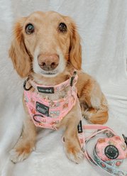 Sassy Woof Out of Office Dog Waste Bag Holder slide 2 of 3