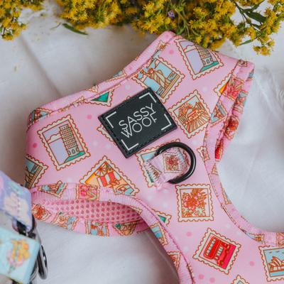 Show full view: Sassy Woof Out of Office Adjustable Dog Harness, Medium: 18 to 25-in chest slide 4 of 6