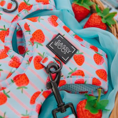 Show full view: Sassy Woof I Woof You Berry Much Adjustable Dog Harness, X-Large: 24 to 35-in chest slide 4 of 7