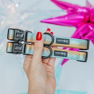 Show full view: Sassy Woof The Night Life Dog Collar, Medium: 19.7-in neck, 3/4-in wide slide 5 of 7