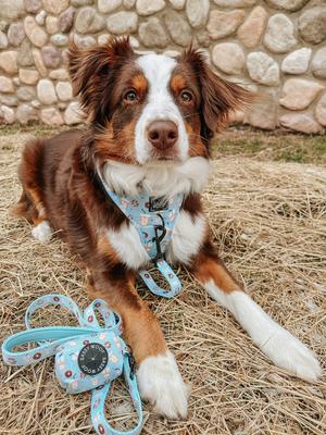 Show full view: Sassy Woof Sweets & Pawfee Dog Waste Bag Holder slide 3 of 3