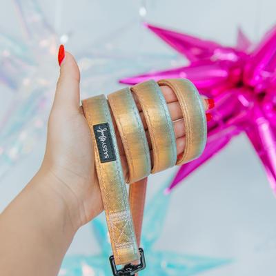 Show full view: Sassy Woof The Night Life Dog Leash, 5-ft long, 3/4-in wide slide 4 of 5