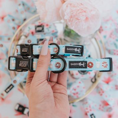 Show full view: Sassy Woof Sweets & Pawfee Dog Collar, Medium: 19.7-in neck, 3/4-in wide slide 5 of 7