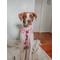 Show in main carousel: Sassy Woof Out of Office Adjustable Dog Harness, Medium: 18 to 25-in chest slide 5 of 6