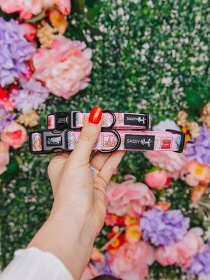 Show full view: Sassy Woof Out of Office Dog Collar, X-Small: 9.5-in neck, 1/3-in wide slide 5 of 6