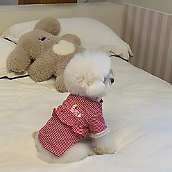 Dolly Pet Christmas Paws Holiday Cheer Dog Shirt, Medium slide 2 of 5