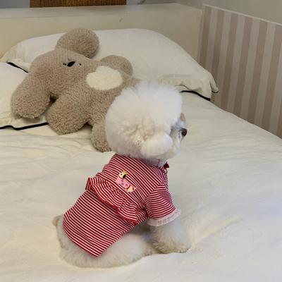 Show full view: Dolly Pet Christmas Paws Holiday Cheer Dog Shirt, X-Small slide 4 of 6