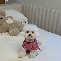 Dolly Pet Christmas Paws Holiday Cheer Dog Shirt, X-Small slide 2 of 5