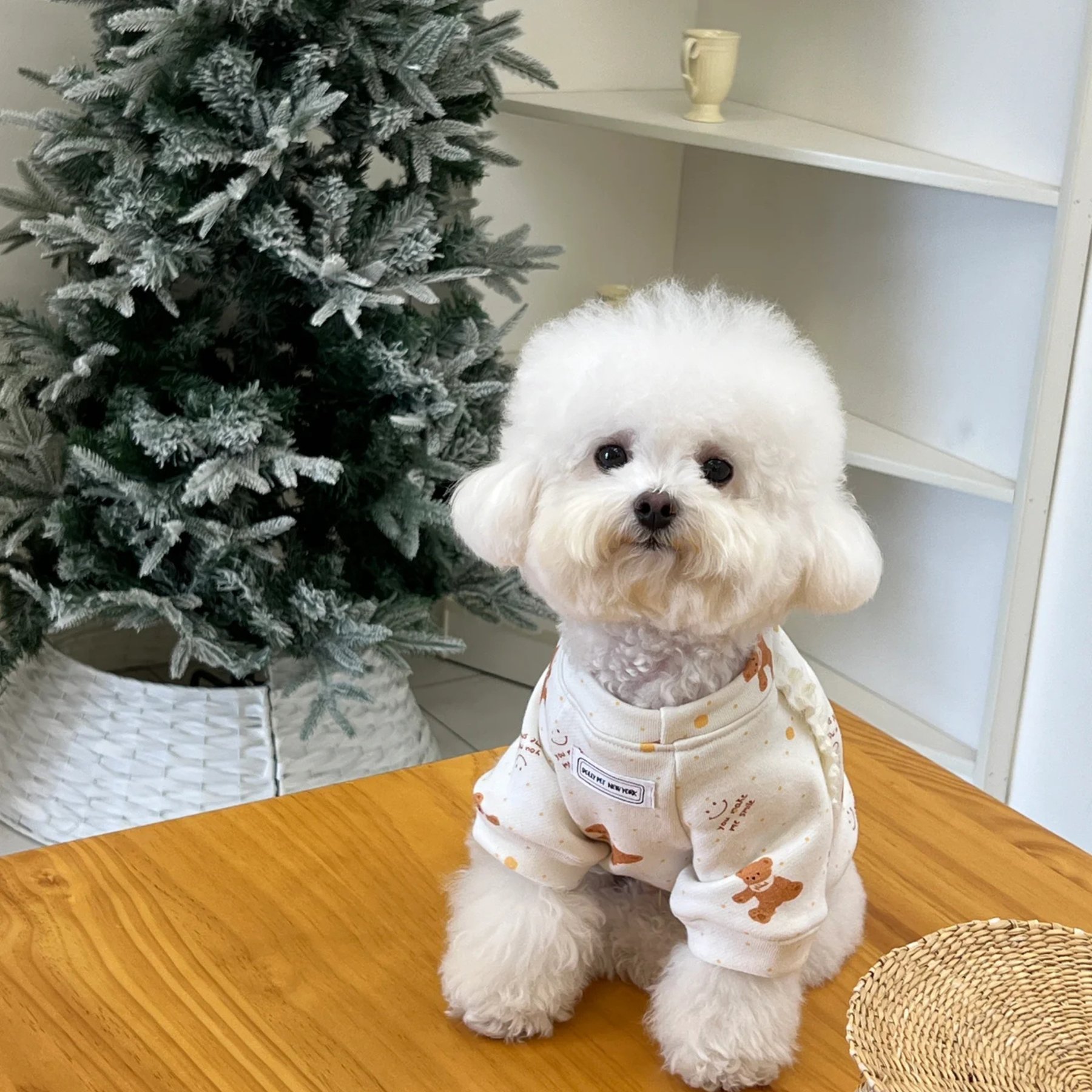 Dolly Pet Chic Bow Elegance Sweet Bear Fleece Dog Hoodie, Large