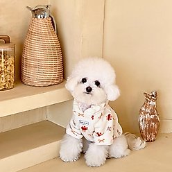 Dolly Pet Festive Bow Bear Dog Hoodie, XX-Large