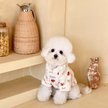 Show in main carousel: Dolly Pet Festive Bow Bear Dog Hoodie, XX-Large slide 1 of 4
