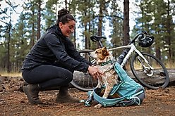 Ruffwear Hitch Hiker Backpack Dog Carrier, River Rock Green, Small slide 2 of 5