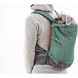 Ruffwear Hitch Hiker Backpack Dog Carrier, River Rock Green, Small