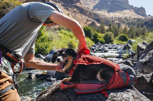 Show full view: Ruffwear Hitch Hiker Backpack Dog Carrier, Red Clay, Small slide 5 of 8