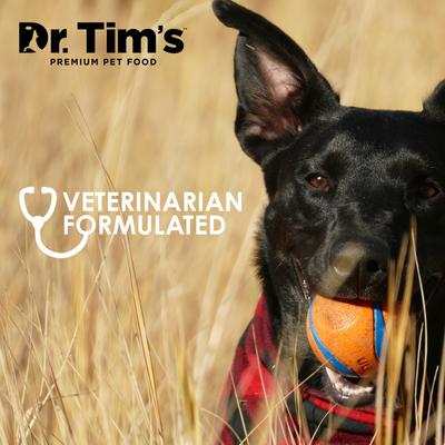 Show full view: Dr. Tim's ImmuShield Liver Flavored Chews Supplement for Dogs, 60 count slide 6 of 7