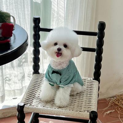 Show full view: Dolly Pet Chic Bow Elegance Dog Shirt, X-Small slide 3 of 3