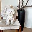 Show in main carousel: Dolly Pet Festive Bow Bear Dog Hoodie, XX-Large slide 2 of 4