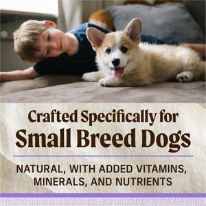Merrick Lil' Plates Grain-Free Small Breed Dry Dog Food Puppy Real Chicken + Sweet Potato Recipe, 12-lb bag