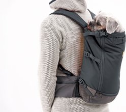 Ruffwear Hitch Hiker Backpack Dog Carrier, Basalt Gray, Small slide 2 of 3