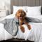 Show in main carousel: PetAmi Sherpa Fleece Waterproof Cat & Dog Blanket, Light Gray, Medium  slide 6 of 9