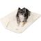 Show in main carousel: PetAmi Sherpa Fleece Waterproof Cat & Dog Blanket, Beige, Small  slide 4 of 10
