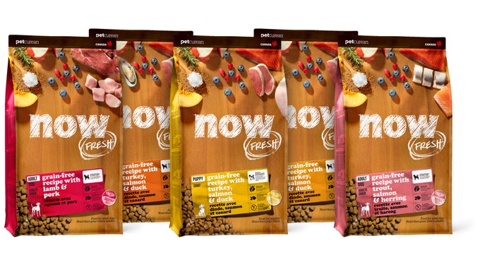 NOW FRESH Grain-Free Adult Fish Recipe Dry Dog Food, 22-lb bag