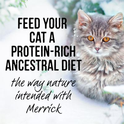 Show full view: Merrick Backcountry Grain-Free Morsels in Gravy Real Whitefish Recipe Cuts Cat Food Pouches, 3-oz, case of 24 slide 10 of 12