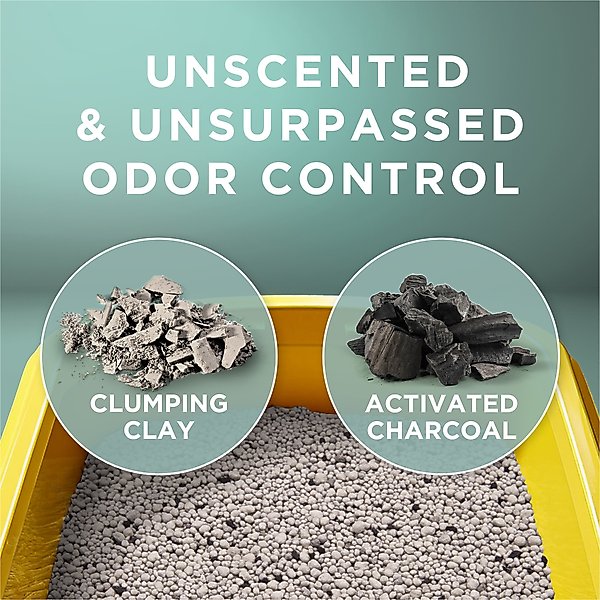 Tidy Cats Free & Clean Unscented Clumping Clay Cat Litter