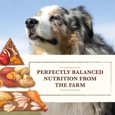 Show full view: Whole Earth Farms Grain-Free Chicken & Turkey Recipe Dry Dog Food, 25-lb bag slide 5 of 11
