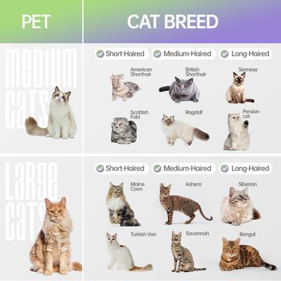 Show full view: Fido Fave Self-Cleaning Slicker Skin-Friendly Grooming Shedding with Built-in Wood Lamp Cat Accessories Supplies for Short & Long Hair Indoor Cat Brush slide 6 of 10