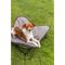 Show in main carousel: TRIXIE Camping Cot Dog Bed, Gray, Medium slide 3 of 7