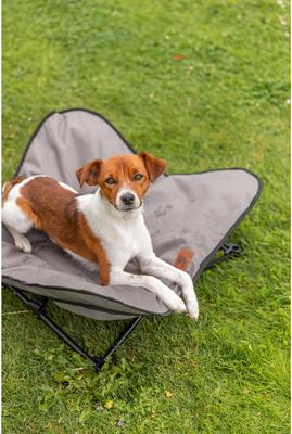 Show full view: TRIXIE Camping Cot Dog Bed, Gray, Medium slide 3 of 7