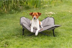 TRIXIE Camping Cot Dog Bed, Gray, Medium