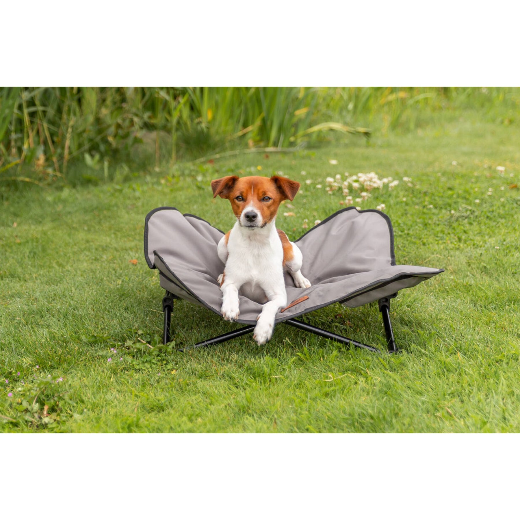 TRIXIE Camping Cot Dog Bed, Gray, Medium