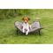 Show in main carousel: TRIXIE Camping Cot Dog Bed, Gray, Medium slide 1 of 7