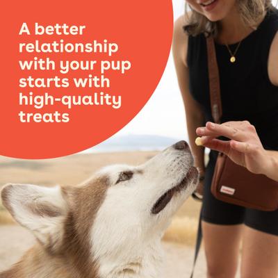 Show full view: Pupford Gouda Crunchies Human-Grade Limited Ingredient Gouda Cheese Flavored Crunchy Dog Treats, 4.25-oz bag slide 7 of 10