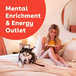 Pupford Engage Bully Sticks Dog Chews, 20 count