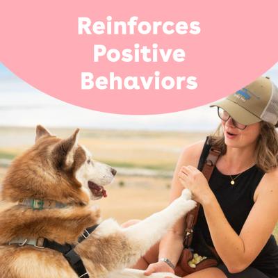 Show full view: Pupford Train Rabbit Natural Freeze-Dried Dog Treats, 4-oz bag slide 4 of 13