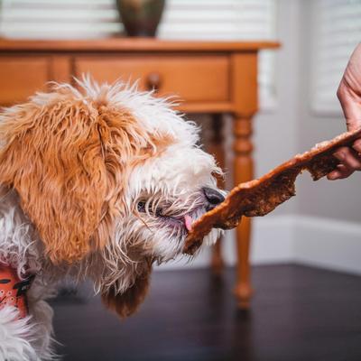 Show full view: Pupford Salmon High-Protein Jerky Dog Treats, 4-oz bag slide 4 of 11