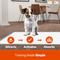 Show in main carousel: ASPCA Dog Training Pads, 22 x 22-in, 100 count, Fresh Scented slide 3 of 7