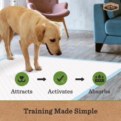 Show full view: Dr. Pol 28 x 30-in Fresh Scent Dog Training Pad, 100 count slide 3 of 6