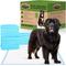 Show in main carousel: Dr. Pol 28 x 30-in Fresh Scent Dog Training Pad, 100 count slide 1 of 6